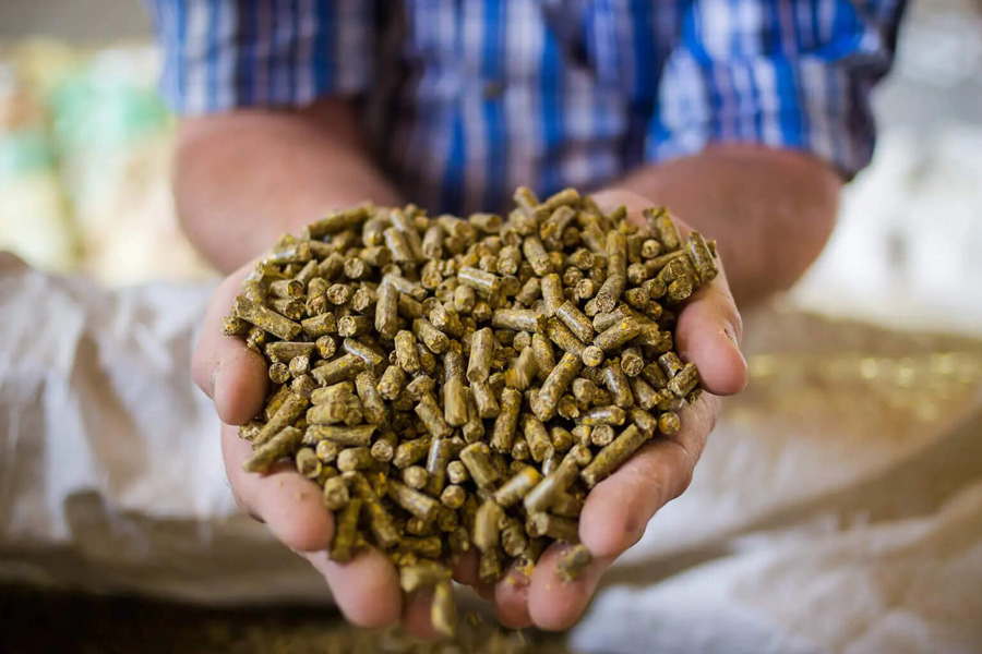 Chicken Feed Suppliers
